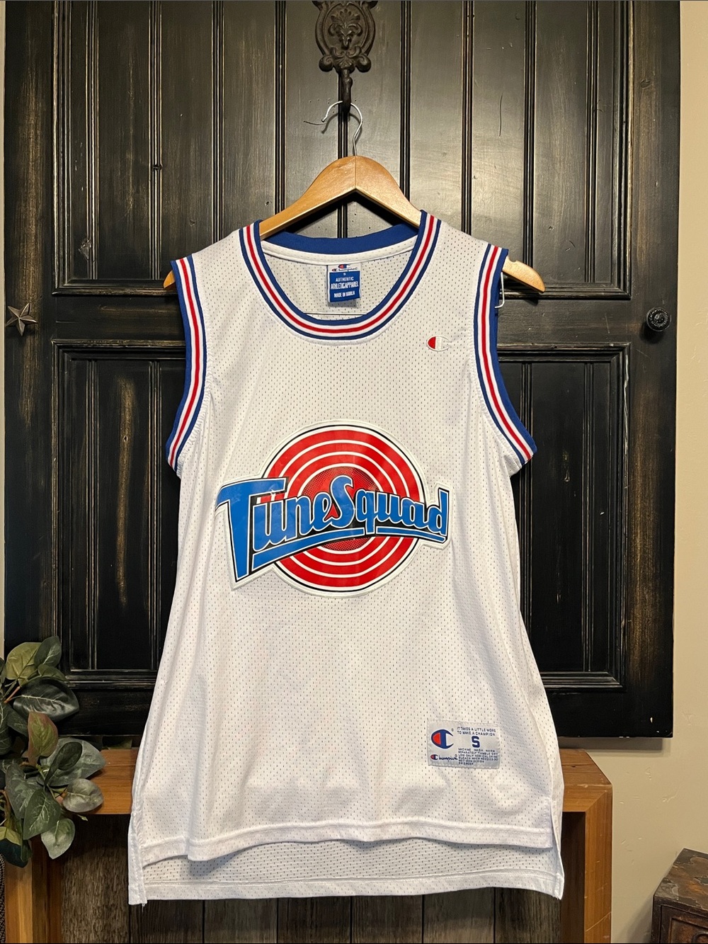 Vintage Jordan Tune Squad Basketball Jersey